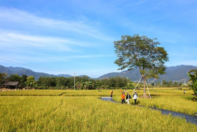 村更美 老街更亮 城市更热AG真人旗舰厅广东清远：乡(图7)