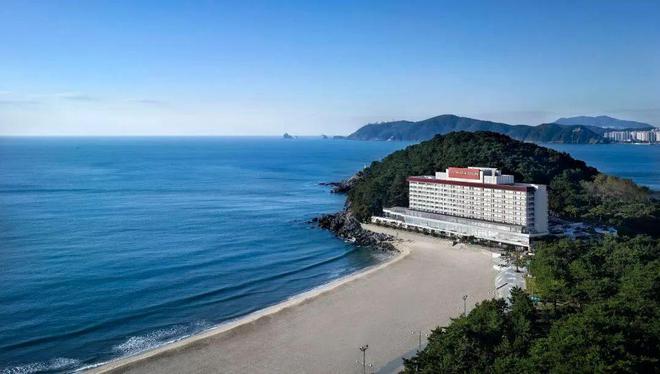 樱花隧道、海边……追一场自由而浪漫的花海AG真人平台免签！2025韩国樱花预测！(图11)