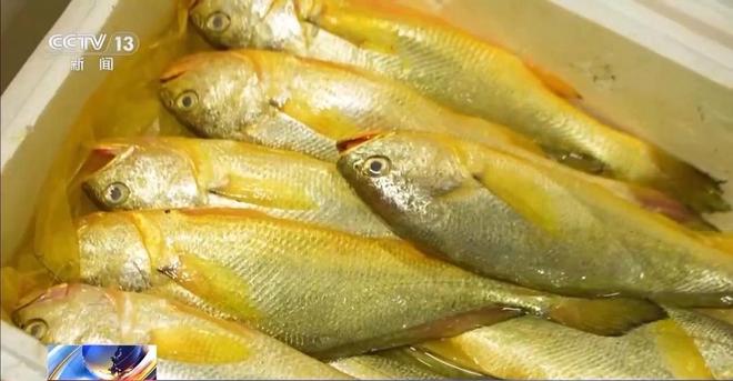 事从餐桌内外看我国多元化食物供给AG真人登录入口“吃”是头等大(图7)